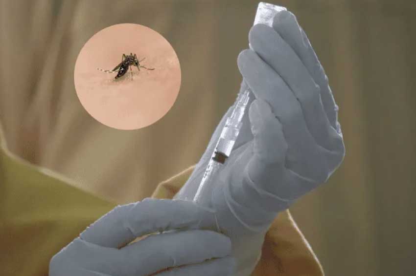 Dengue: OMS autoriza segunda vacuna para esta enfermedad