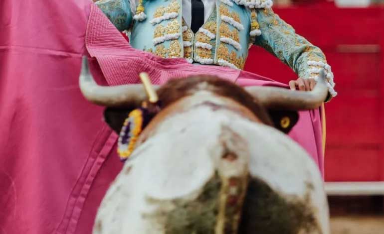 Suspenden las corridas de toros en la Plaza México otra vez