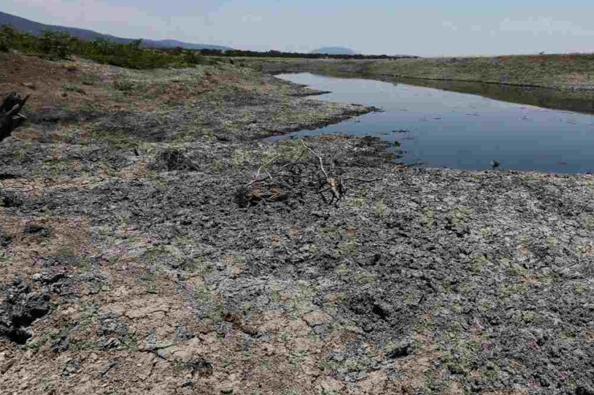 Más del 70% del territorio mexicano sufre degradación de suelos