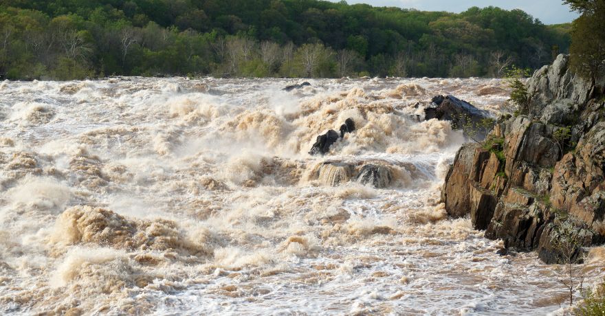 Patrulla Fronteriza reporta rescate de 54 migrantes en el Río Grande