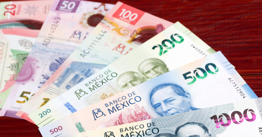 ¿Tienes 60 años o más? Inicia tu registro a la Pensión Bienestar