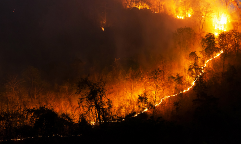 Incendios y calor extremo ponen en alerta al oeste de Estados Unidos